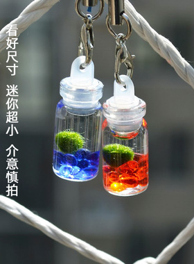 幸福海藻球旅行装迷你植物生态瓶marimo球藻微景观随身瓶创意礼物