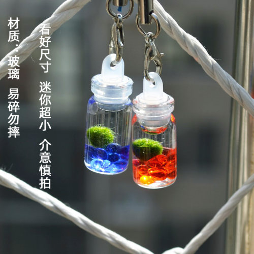 满月小球藻易养随身瓶萌系物语