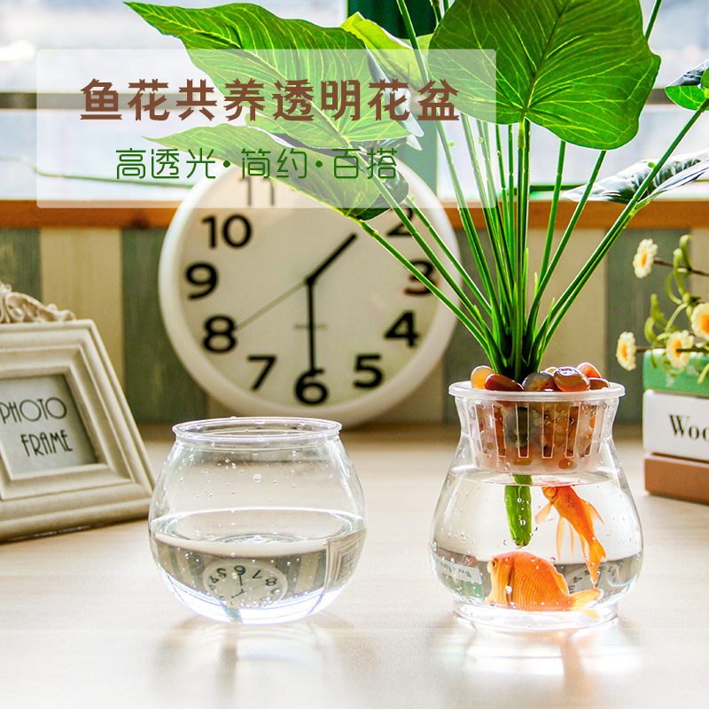 透明塑料花瓶绿萝盆栽室内土培水培花盆特价清仓包邮花卉多肉植物