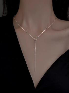 925纯银项链女2025新款爆款轻奢小众配饰网红高级感锁骨颈链饰品