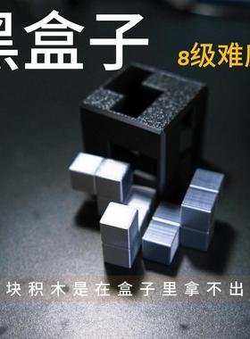 解谜玩具3D拼图puzzle8级难度儿童益智解谜烧脑桌面游戏黑盒子