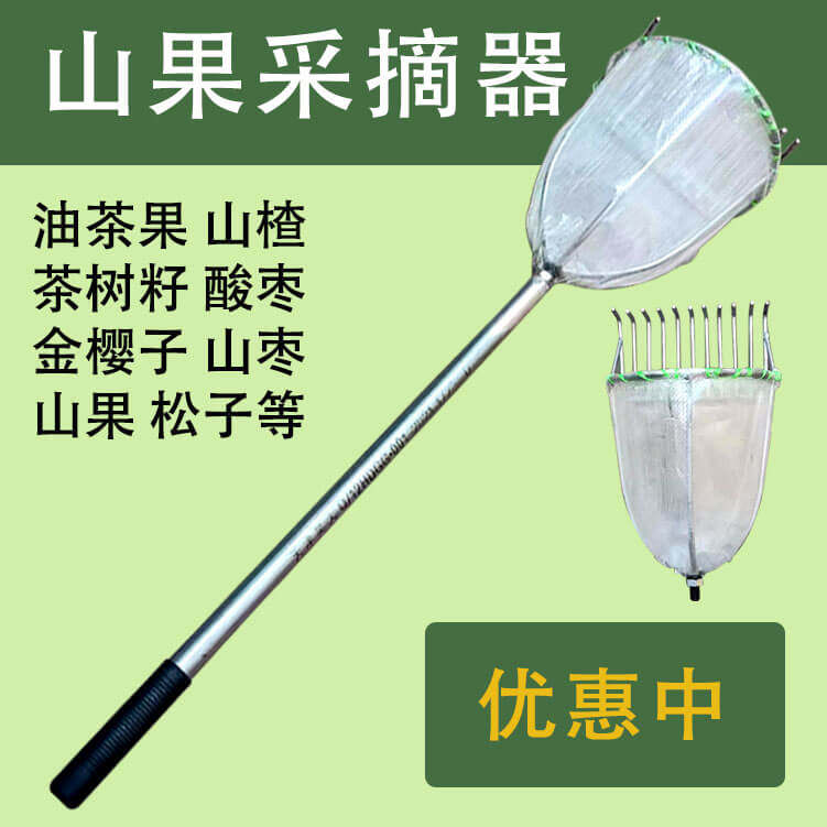 【嘉禾】油茶果采摘工具摘油茶籽耙子摘山楂杏果大枣酸枣锯齿钉耙,农机/农具/农膜,其它农用工具,淘宝优惠券,粉丝福利购,淘宝优惠卷