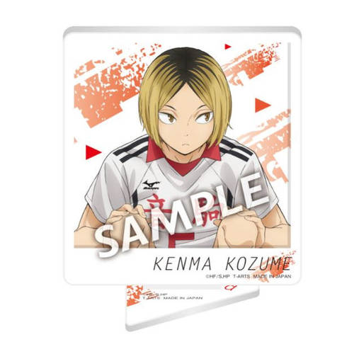 排球少年!!VS好敌手ZOOMY立牌