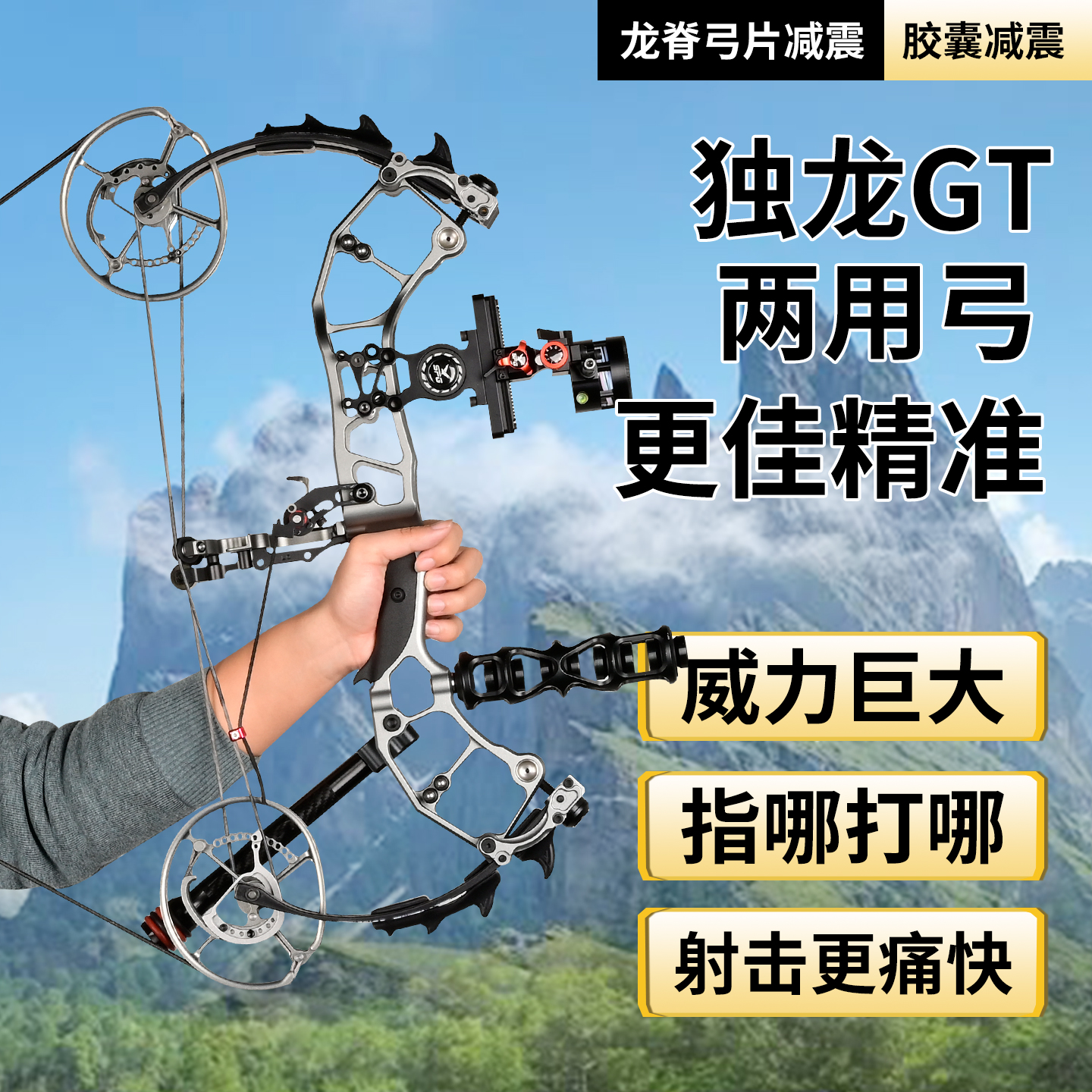独龙GT钢珠两用复合弓两用大轴距