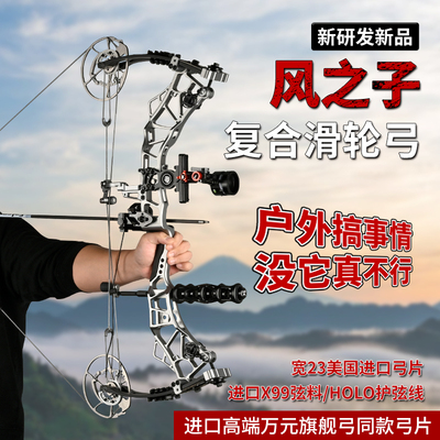 正品拓路风之子复合弓高速射箭弓