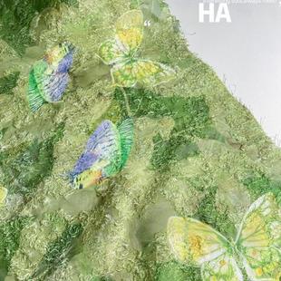 半米绿色蝴蝶提花面料 设计师连衣裙旗袍布料 发饰DIY印花手工布