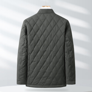 XL-8XL秋冬季加肥加大码立领棉衣薄款棉服外套8379P105-110图片