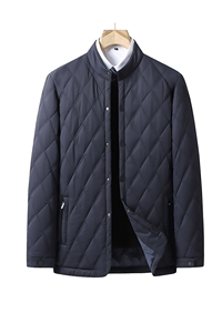 XL-8XL秋冬季加肥加大码立领棉衣薄款棉服外套8379P105-110图片