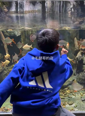 Adidas阿迪达斯儿童休闲运动舒适连帽蓝色卫衣套头衫 JI9627