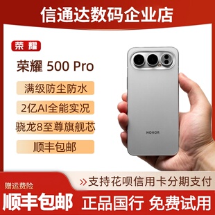 Pro旗舰机青海湖电池官方正品 荣耀500 骁龙8至尊500pr 荣耀 honor