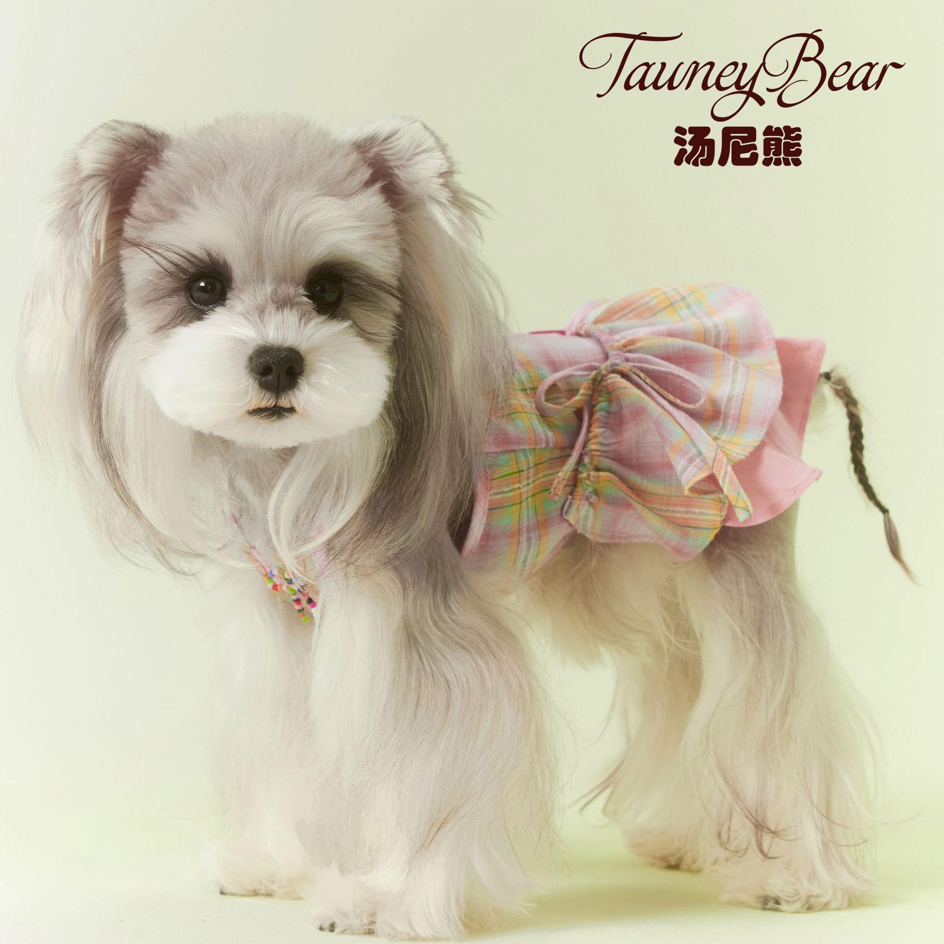 汤尼熊狗狗猫咪春夏衣季服连衣裙