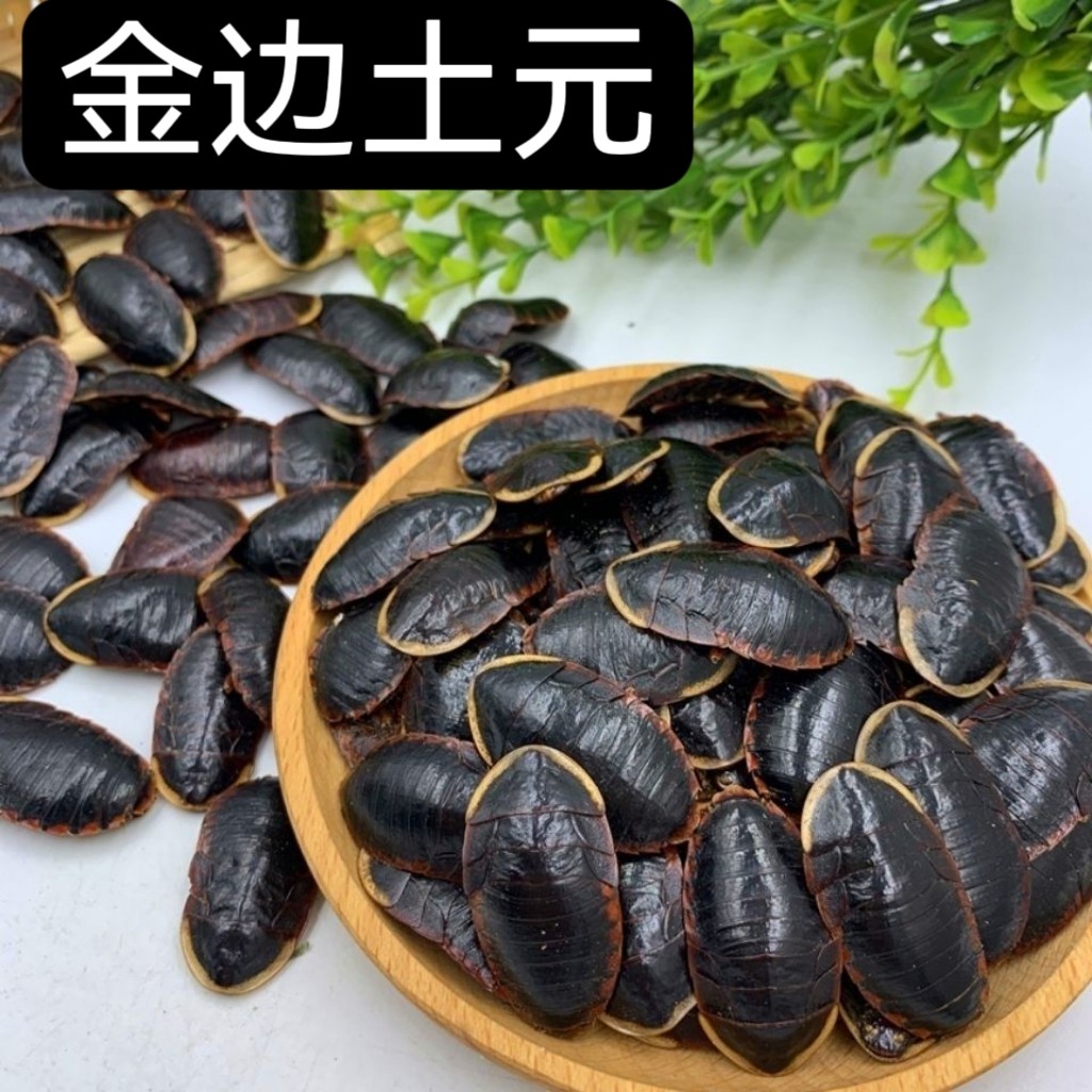 中药材金边土元金边土鳖虫非中华土元50-500克