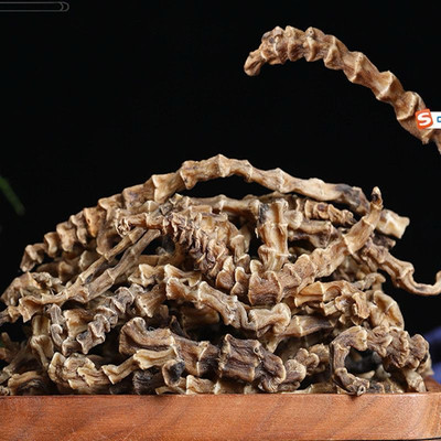 【越皇根】中越边境深山野采越皇根