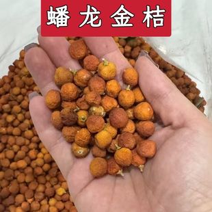 【蟠龙金桔】新会特产蟠龙金橘盘龙金桔