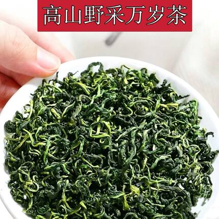 【野采万岁茶】云南小高山野采万岁茶泡水煮水