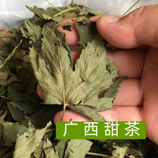 甜茶广西金秀大瑶山刺儿茶甜茶
