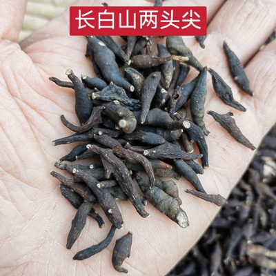 两头尖中药材 野生两头尖 红背银莲花 红被银莲花