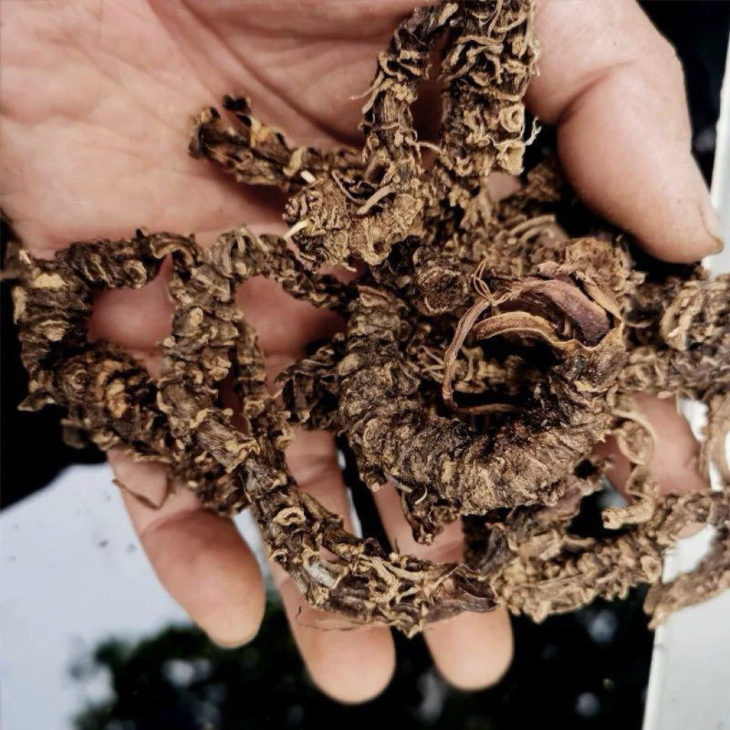 【蝴蝶香】云南深山好物野采蝴蝶香干,传统滋补营养品,其他药食同源食品,淘宝优惠券,粉丝福利购,淘宝优惠卷