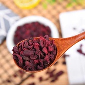 藏红参 藏区高海拔野采藏红参