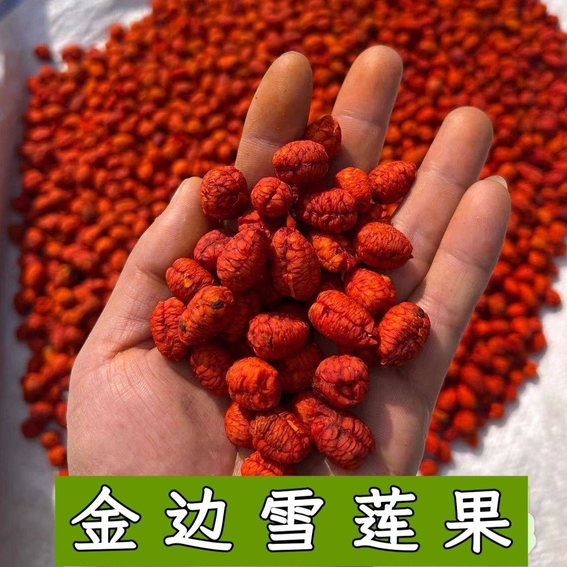 【金边雪莲果】中越边境大山好货,传统滋补营养品,其他药食同源食品,淘宝优惠券,粉丝福利购,淘宝优惠卷