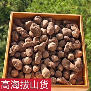 【百圣果】云南土山货-百圣果、三叶青 泡水煮水