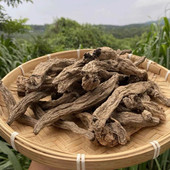 越龙根 高山高海拔整根越龙根