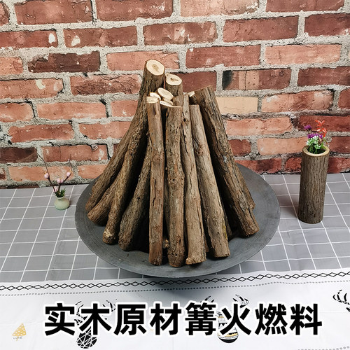 杉树枝木柴篝火燃料户外露营野餐