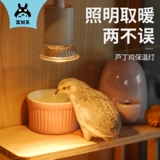 Pet Shangtian Luding Chicken Гарантия Светло -легкий нагреватель