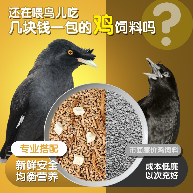 宠尚天八哥鸟食饲料鹩哥鸟粮专用食粮鸟料5画眉鸟食饲料包邮3.6斤