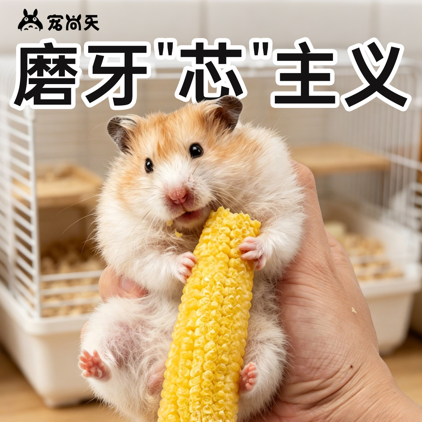 宠尚天仓鼠零食冻干玉米笋磨牙洁齿棒金丝熊营养粮食大礼包专用
