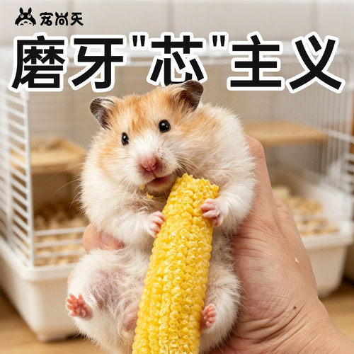 【万人种草】仓鼠冻干玉米磨牙棒