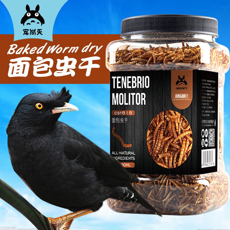 宠尚天面包虫干八哥鸟零食饲料