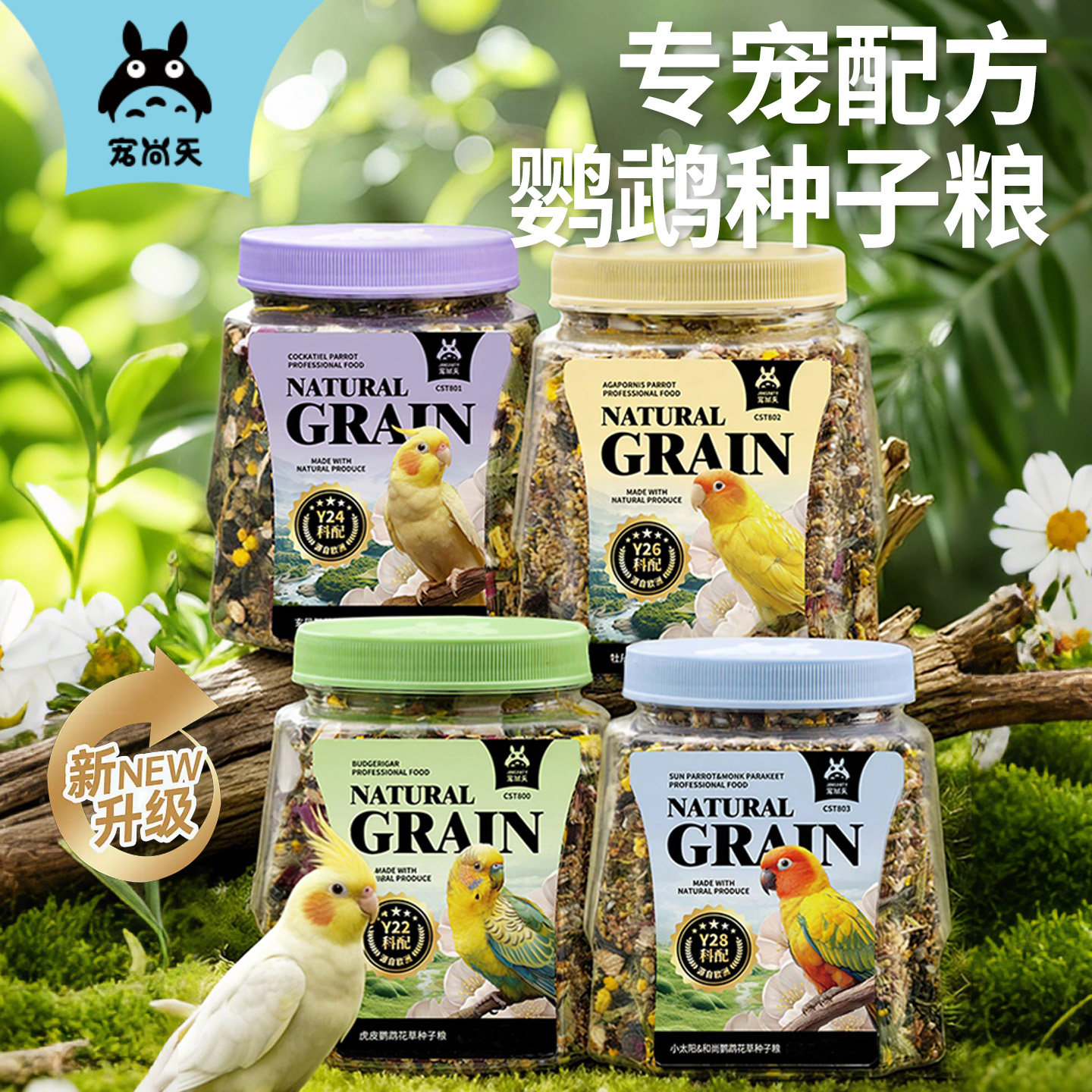 虎皮玄凤牡丹鹦鹉花草浆果种子粮图片
