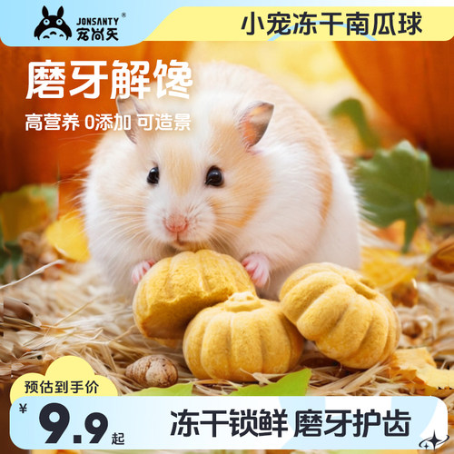宠尚天冻干小南瓜磨牙增肥