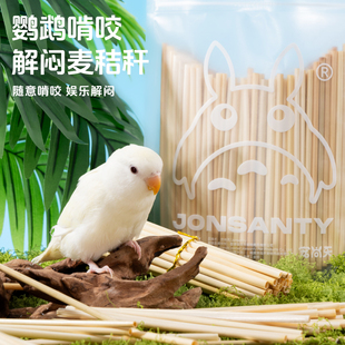 宠尚天鹦鹉啃咬玩具麦秆玄凤牡丹虎皮磨牙天然小麦秸秆解闷自嗨