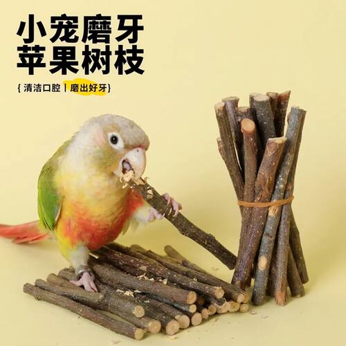 鹦鹉苹果枝木啃咬磨牙棒