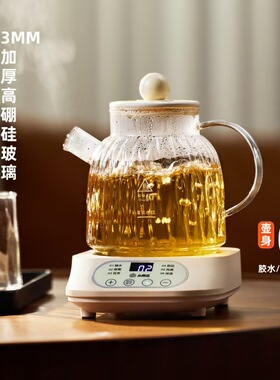 小南瓜养生壶炖煮一体家