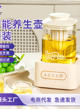 Y玻璃壶身智能炖煮一体烧