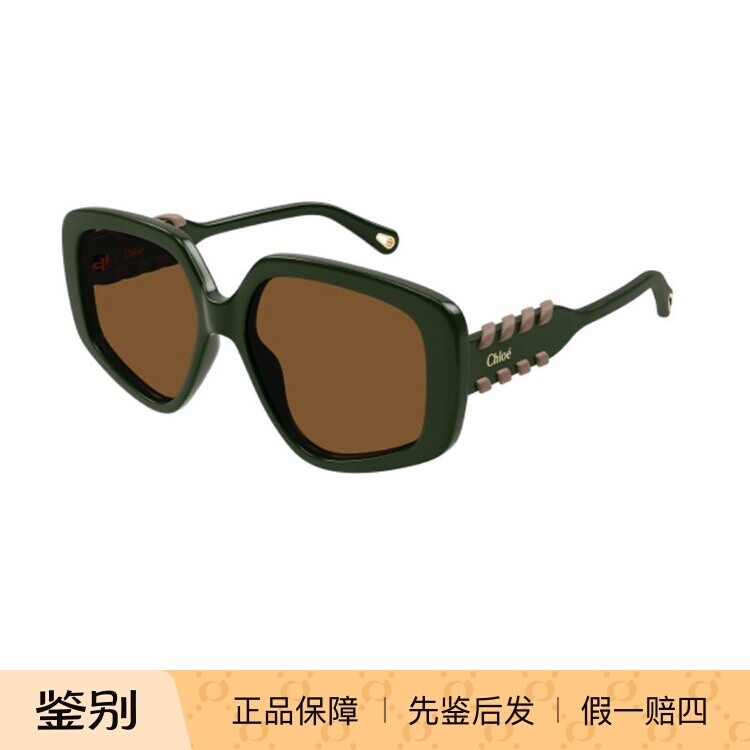 蔻依Chloe太阳眼镜新款太眼镜女款墨镜时尚大框架防紫外线CH0210S