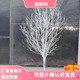 网红干树枝树杆装 饰枯树白色许愿树橱窗造景婚庆路引道具落地摆件