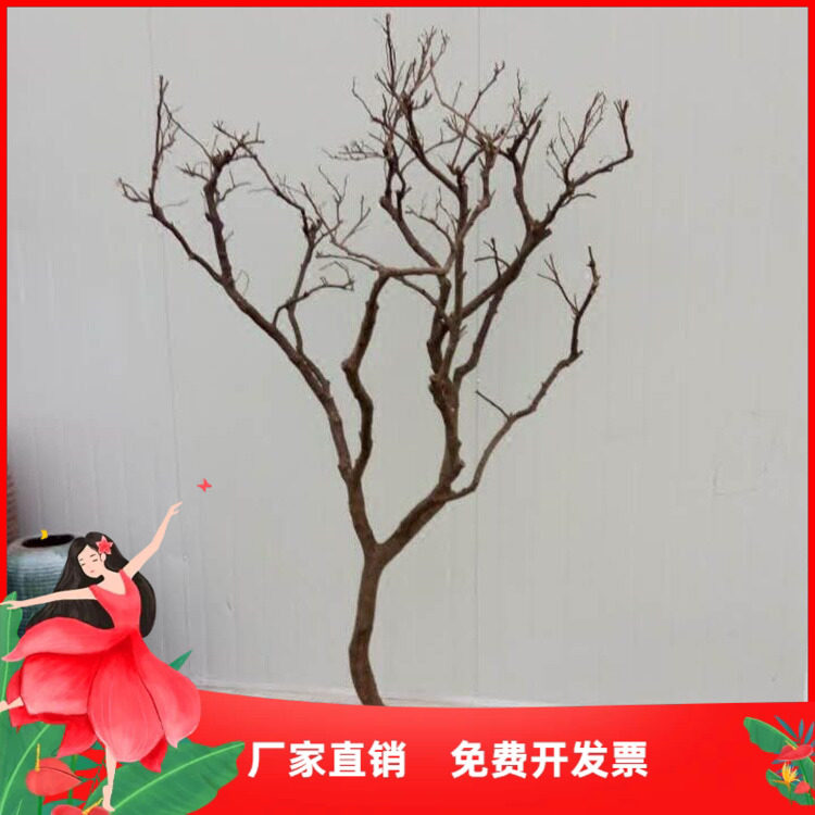 干树枝干枝卧室树干装饰 枯枝白树枝树杆酒店会所摆放隔断设计木图片