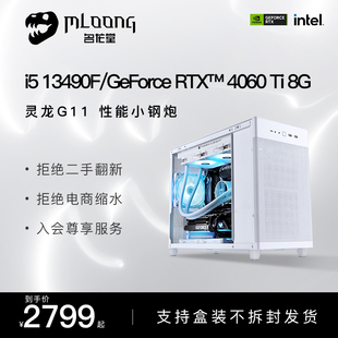 RTX4060Ti华硕冰立方台式 13490F 电脑小主机电竞游戏直播吃鸡办公渲染全套整机diy兼容机 13400F 名龙堂i5