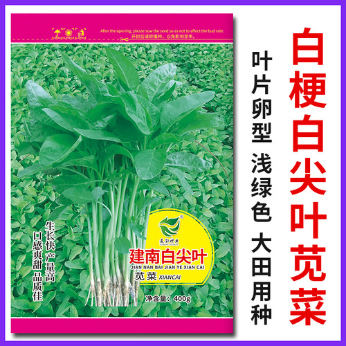 白梗尖叶青苋菜汉菜汗菜种菜籽