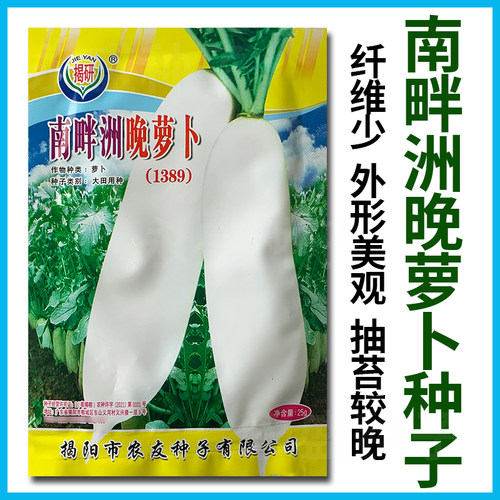 晚萝卜种孑晚罗卜种子白种秋冬季种籽南畔洲四季蔬菜籽庭院阳台