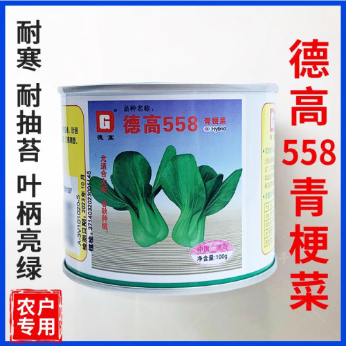 耐寒耐抽苔高产株型美观