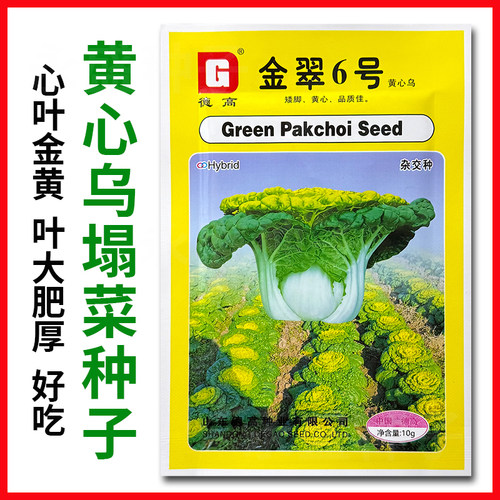 黄心乌塌菜种子叶大肥厚