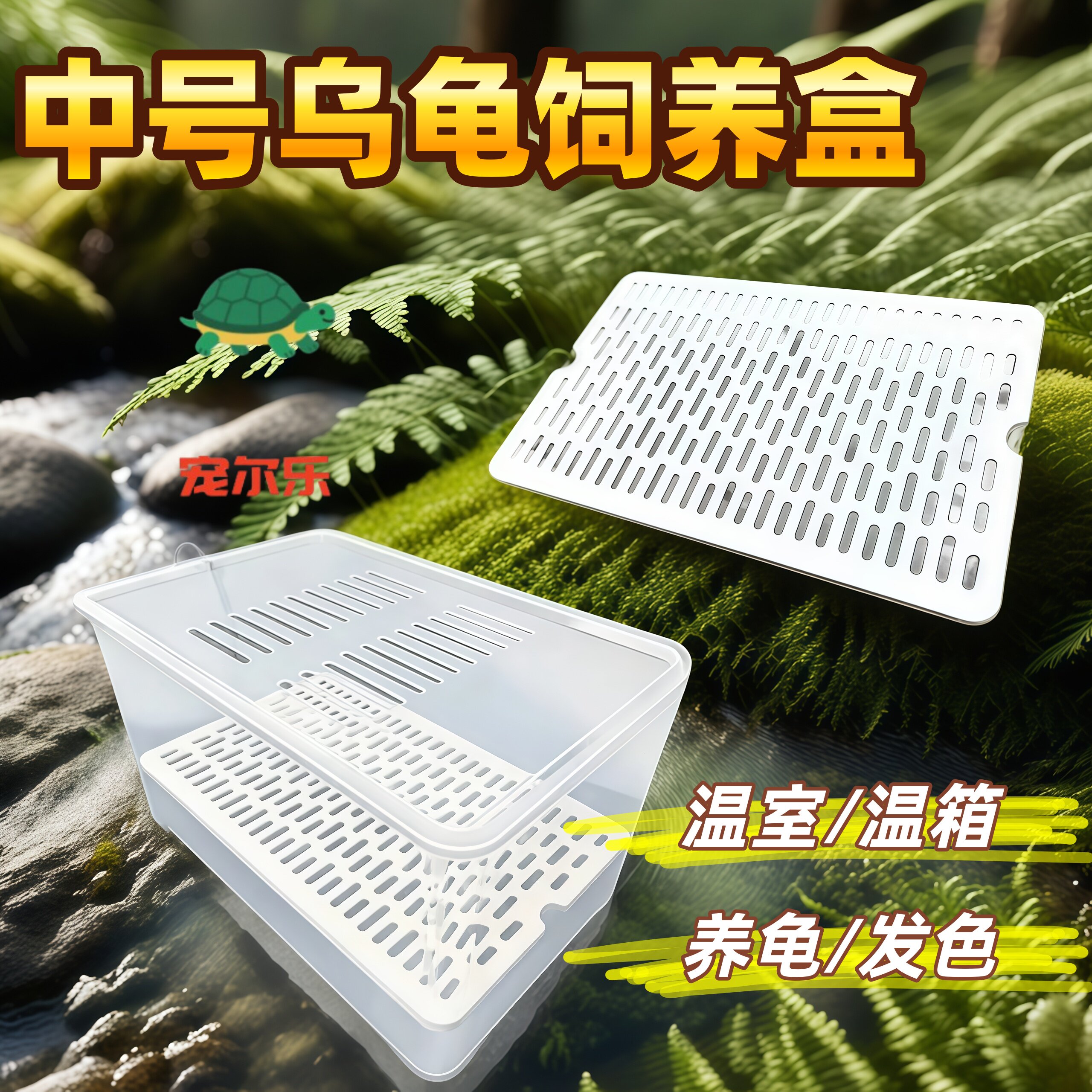 中号乌龟发色孵化幼龟饲养盒蛋龟鱼缸加温隔离龟苗盒发色盒 - 淘宝联盟商品