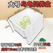 乌龟饲养盒养龟乌龟育苗盒蛋龟发色盒水龟饲养盒龟缸鱼缸龟苗孵化