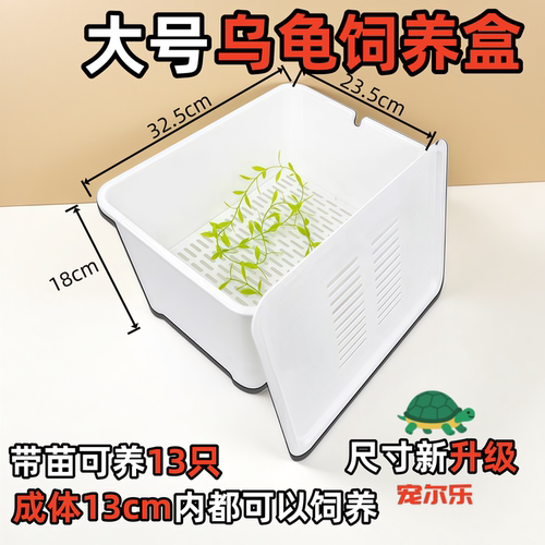 乌龟饲养盒养龟乌龟育苗盒蛋龟发色盒水龟饲养盒龟缸鱼缸龟苗孵化