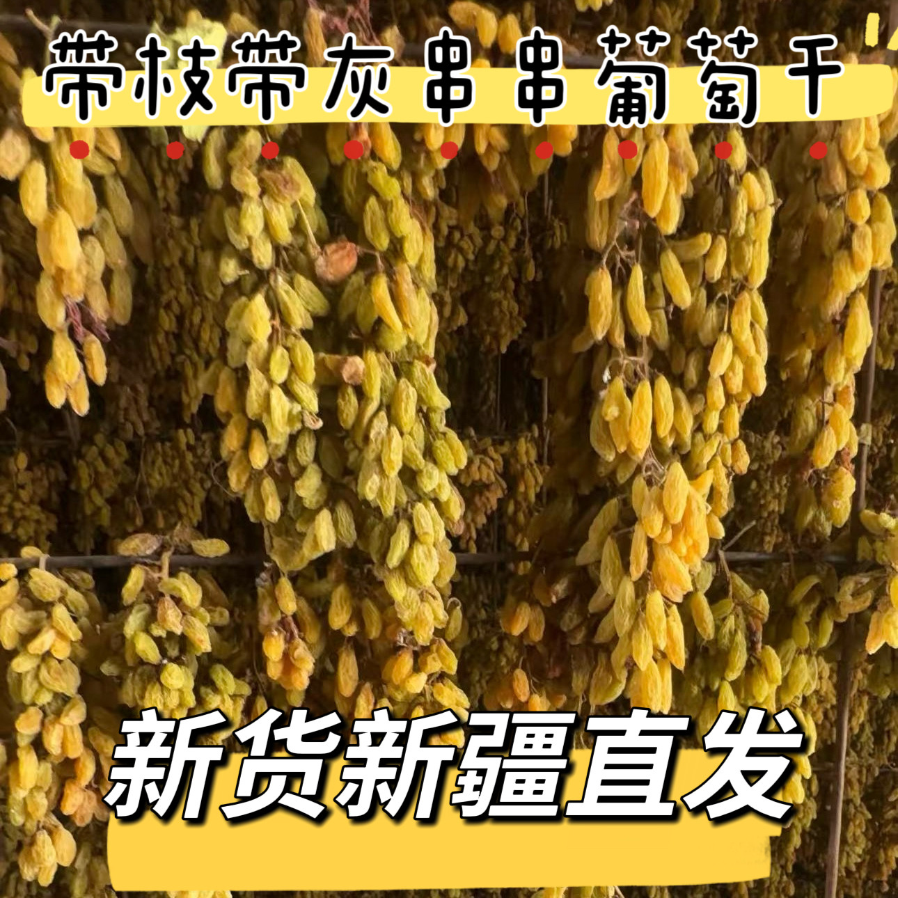 2026年吐鲁番无核白葡萄干（葡萄干